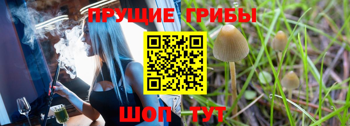Галлюциногенные грибы Cubensis  Вход с VPN  где продают наркотики  Чапаевск 
